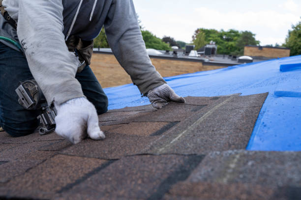 Best Commercial Roofing Services  in Jamestown, TN